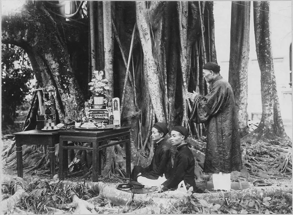 Bóng Ma Cổ Thụ Rìa Làng – Thần Cây Đa, Ma Cây Gạo