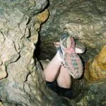 Những thứ kinh tởm được tìm thấy trên Wikipedia