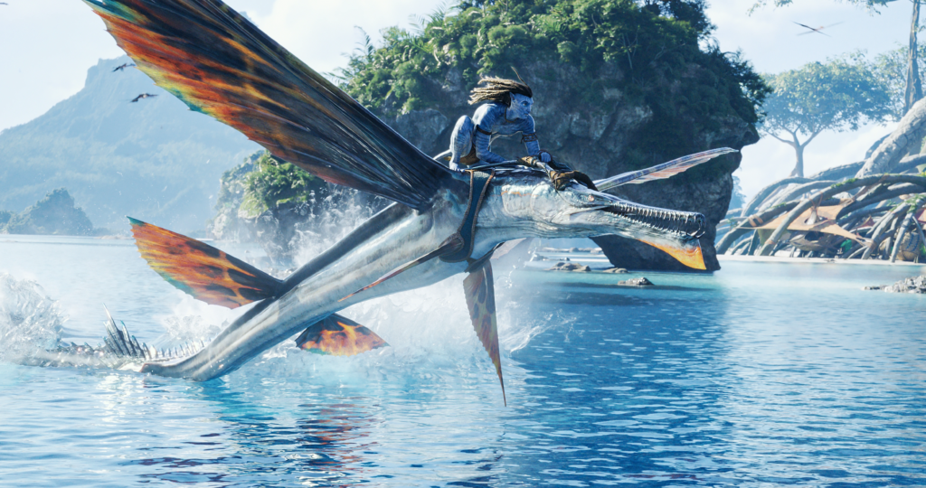 Skimwing và cá chuồn