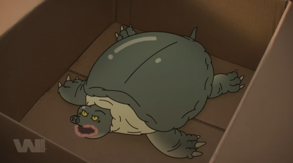 Hình dung về “quý cô” rùa ác quỷ.