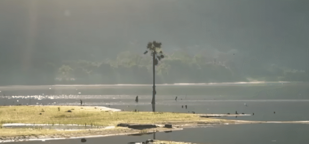 Hình ảnh và âm thanh