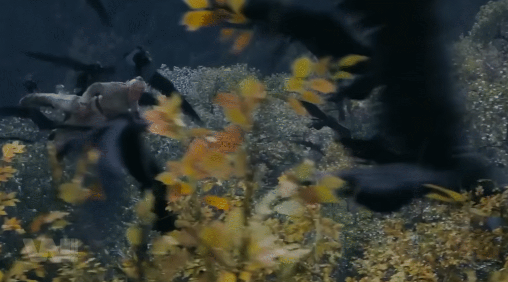 Khương Tử Nha và lựa chọn định mệnh