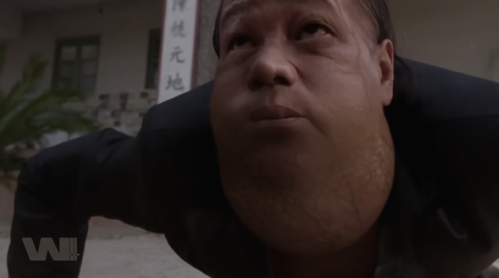 Cáp Mô Công – Sức mạnh của loài cóc