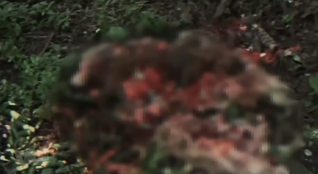 Những Chi Tiết Kinh Dị Trong Phim