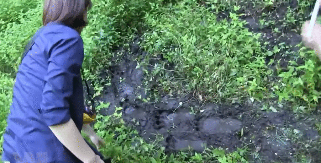 Những Chi Tiết Kinh Dị Trong Phim