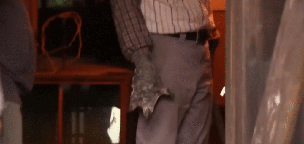 Sự Chuyển Biến Của Suzuki Và Cô Bạn Gái