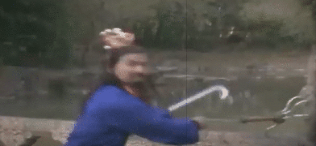 Móc câu vàng của Như Ý Chân Tiên