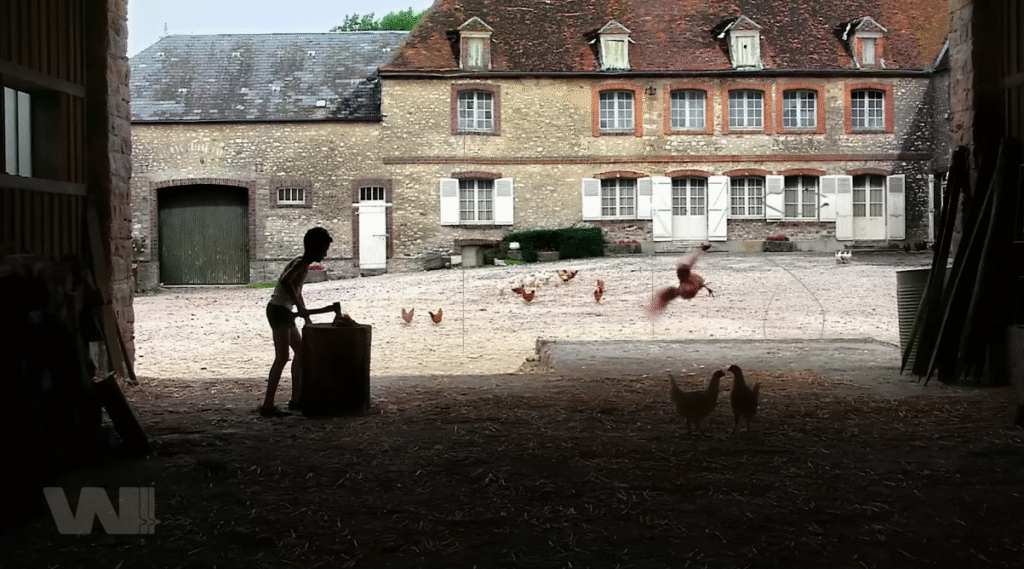 Đó là chuyện của Majid – cậu bé người Algeria mà gia đình Georges từng nuôi sau vụ thảm sát Paris 1961