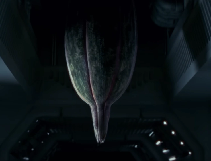 Carnivorous Plant – khi cơn ác mộng có rễ