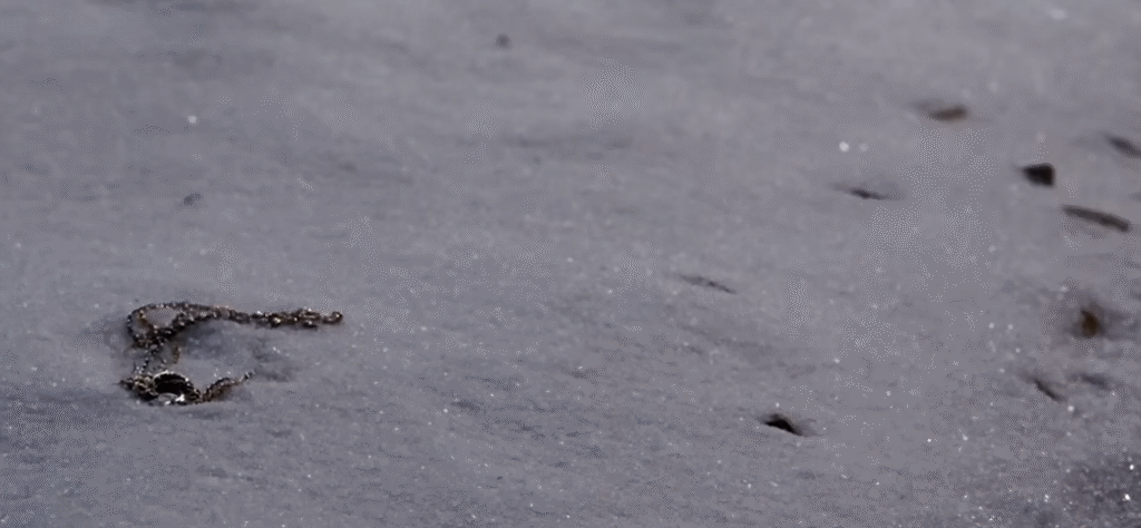 Kết thúc – Chút an ủi nhỏ nhoi