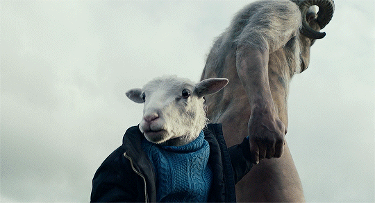 Cha cừu – Sự trừng phạt lạnh lùng của tự nhiên