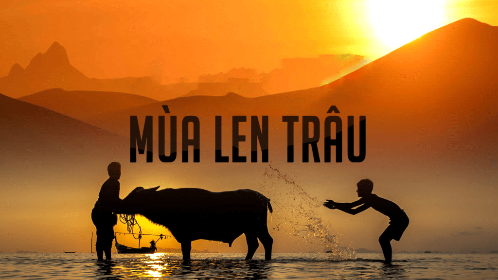 Mùa Len Trâu – khi nước lên, lòng người cũng dâng theo