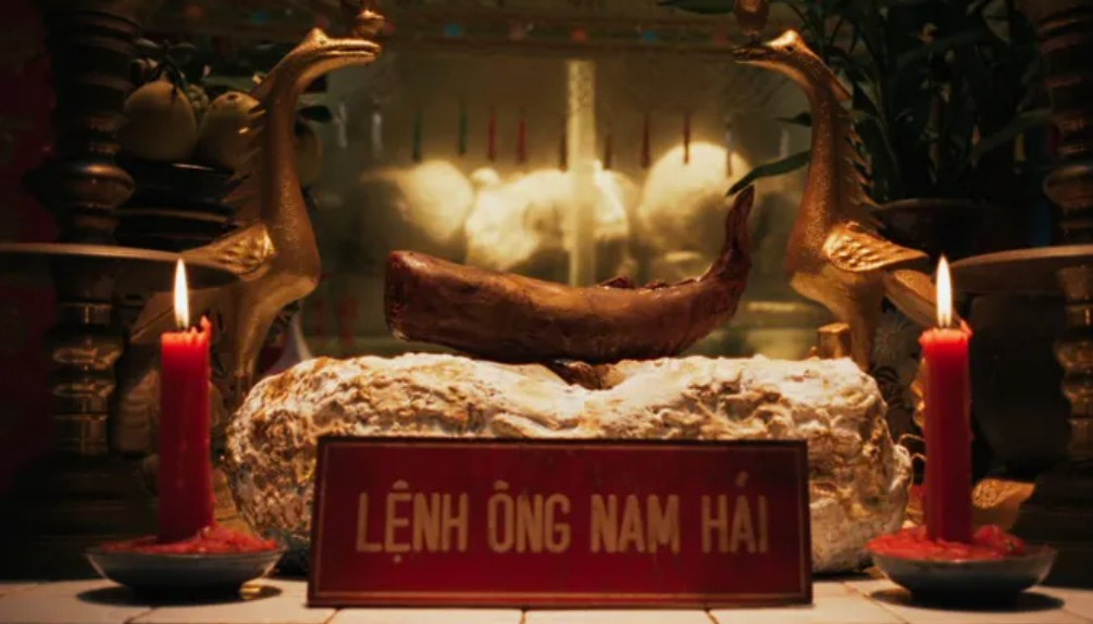 Long Diên Hương – báu vật của biển cả