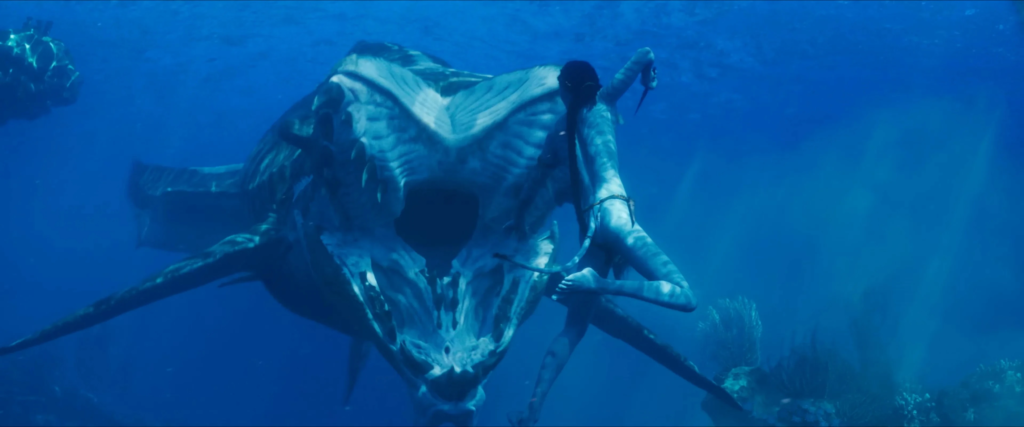 Akula và nỗi sợ cá mập trắng