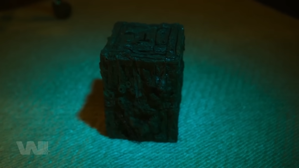 Đột nhập khu rừng biển cây: Cây mọc lại, cành quấn người và ông tài xế luôn có mặt đúng lúc