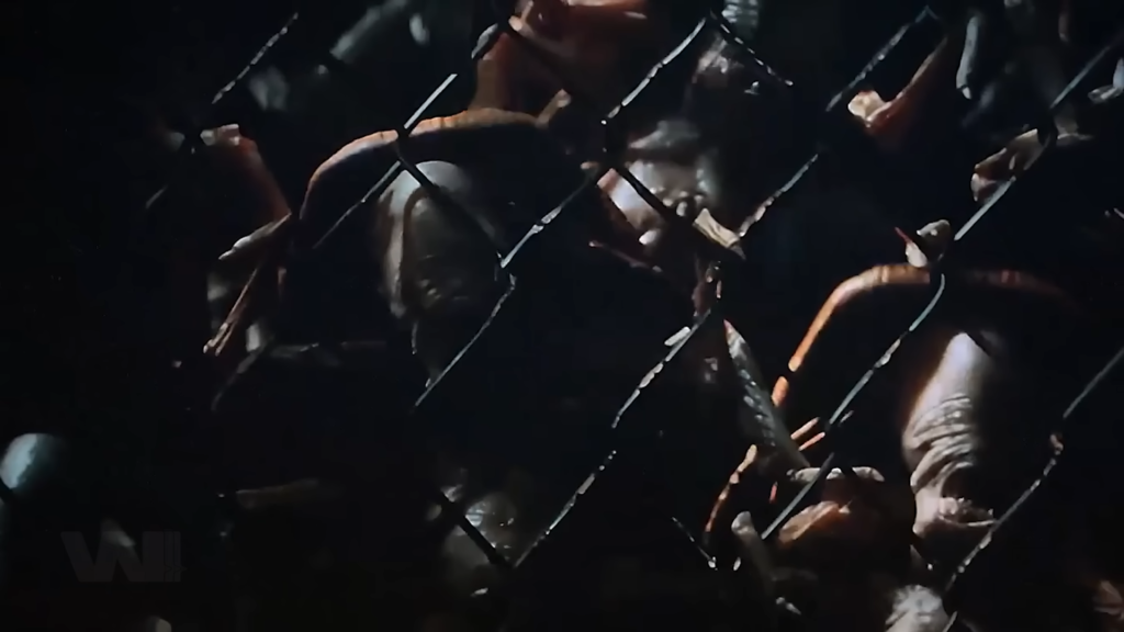 Mandarin (hoặc Creeper biến thể)