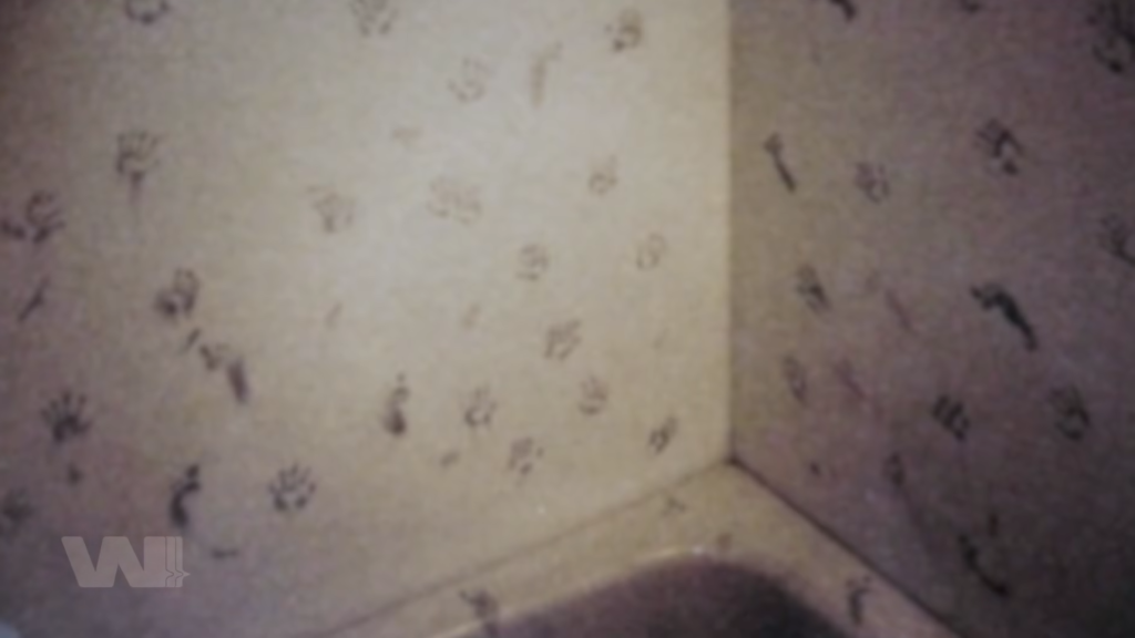 Đoạn Phim 5: Báo Thù và Những Dấu Tay Trên Tường Nhà Tắm