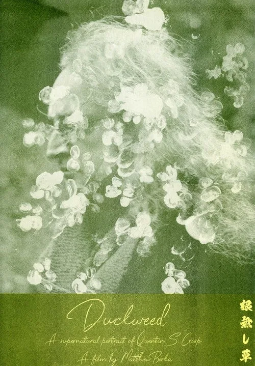 Duckweed