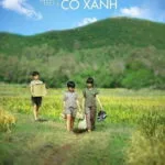 Tôi Thấy Hoa Vàng Trên Cỏ Xanh